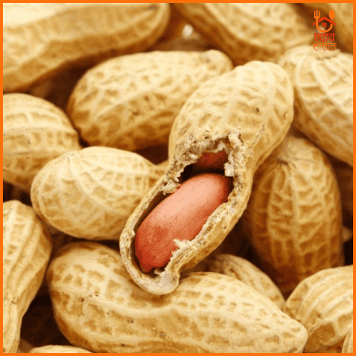 চীনা বাদাম | Chinese Peanut